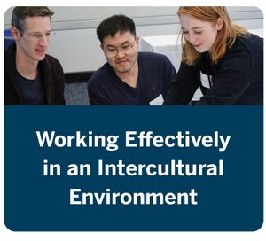 Working Effectively in an Intercultural Environment